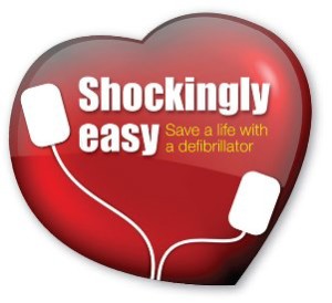 Shockingly Easy Logo